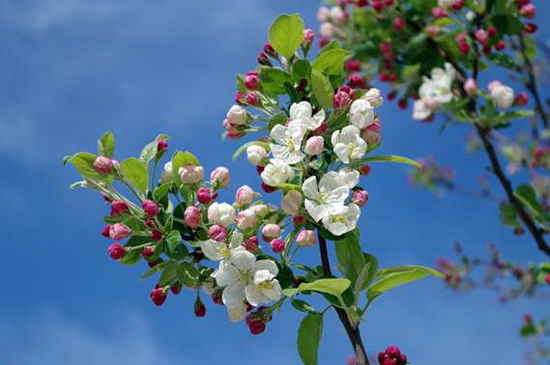 image006_调整大小.jpg