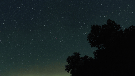 01.gif