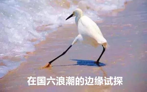 1国六浪潮.jpg