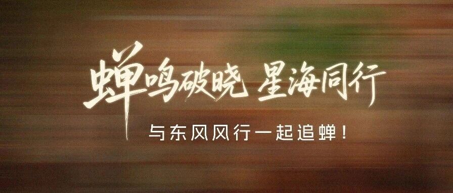 蝉鸣破晓 星海同行 与东风风行一起追蝉！