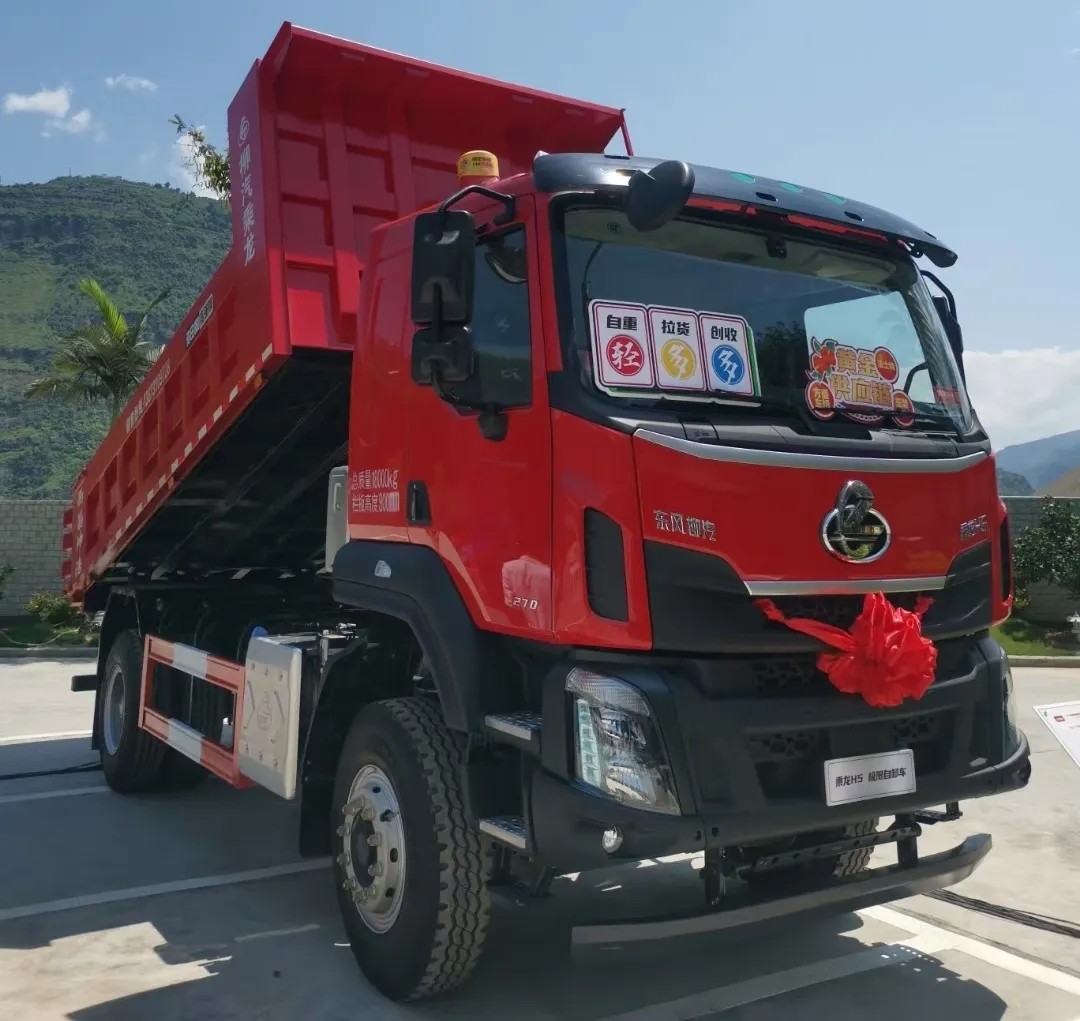 乘龙H5 4X2自卸.jpg