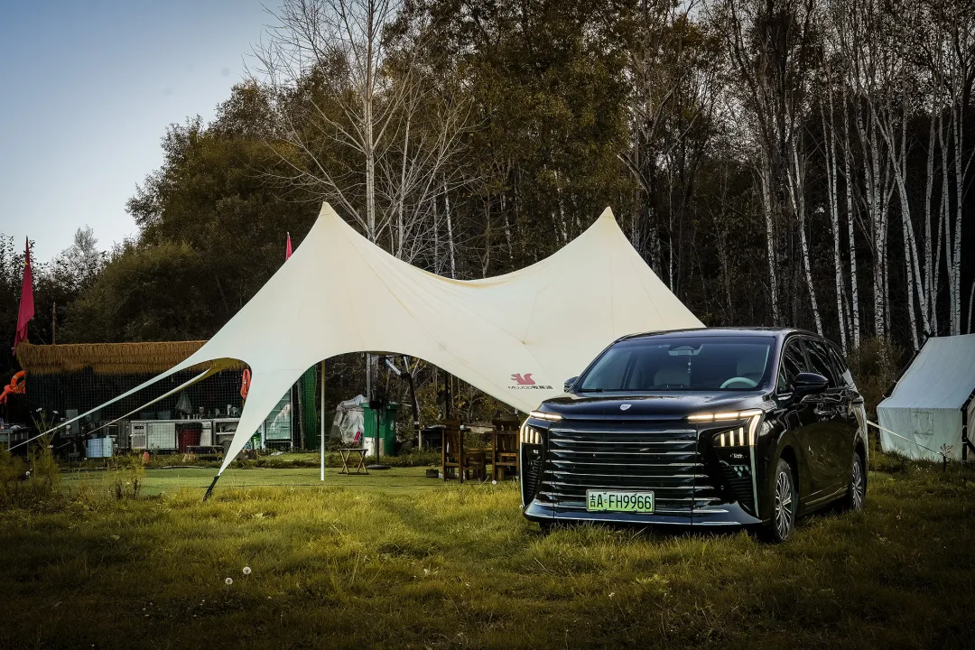 1762908057136044.jpg 1.jpg