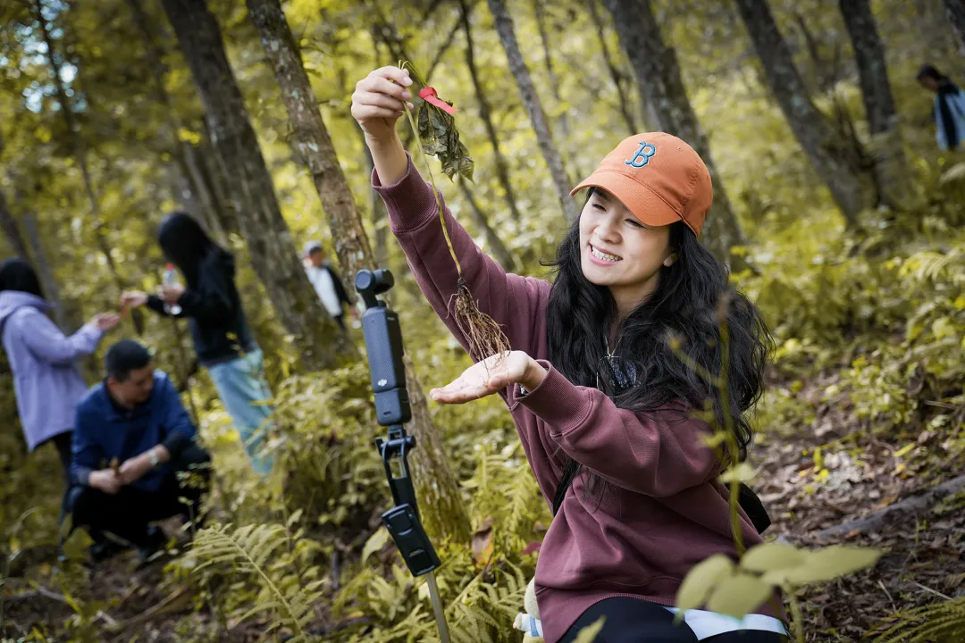 1762908089917246.jpg 4.jpg