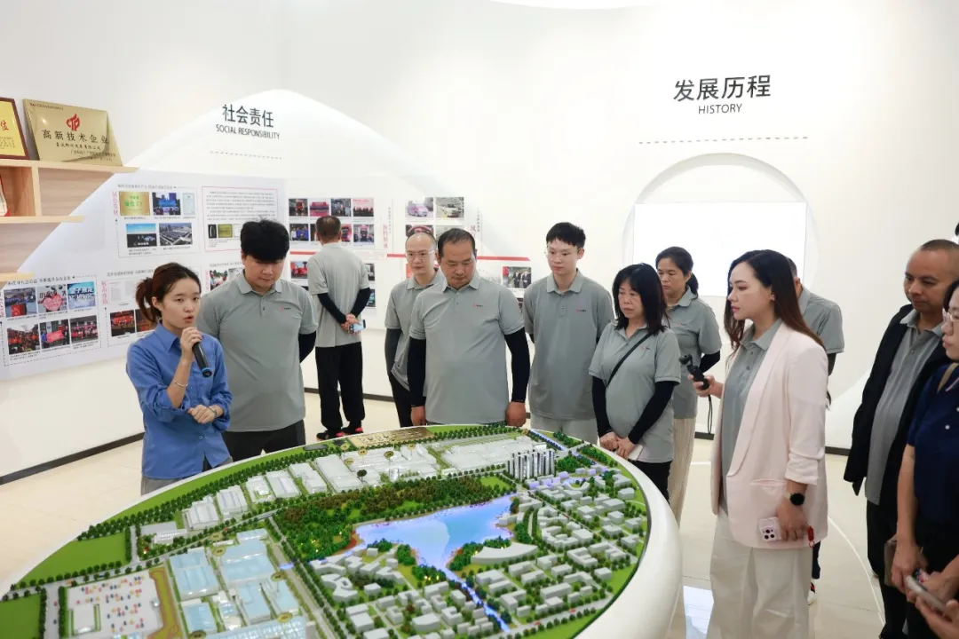 1762909261179478.jpg 2.jpg