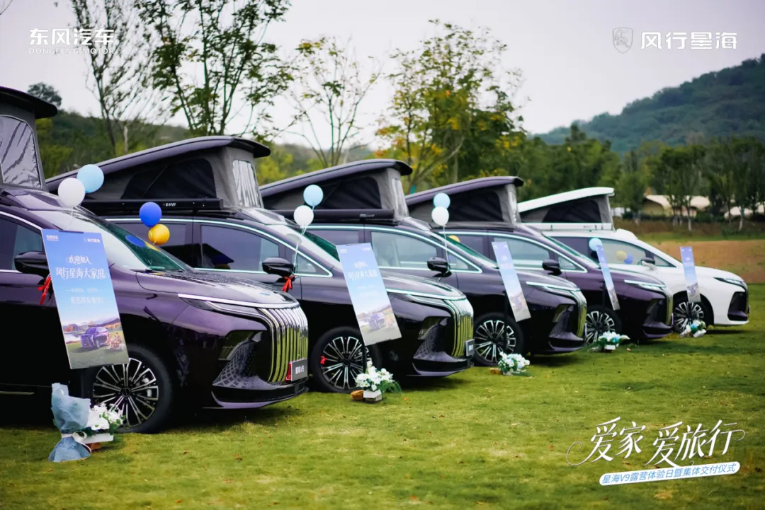 1763626433588831.jpg 9.jpg