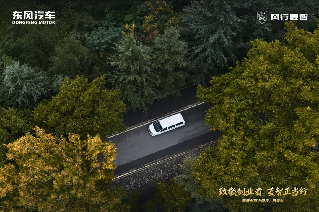 1763627216817994.jpg 7.jpg