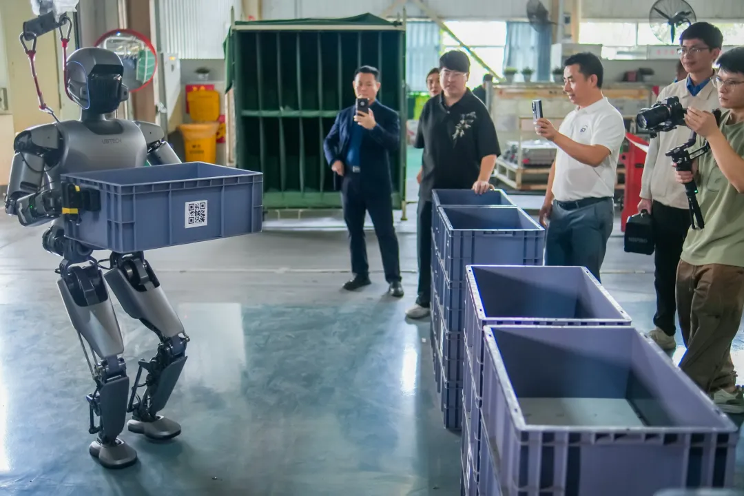 1763693789344955.jpg 2.jpg