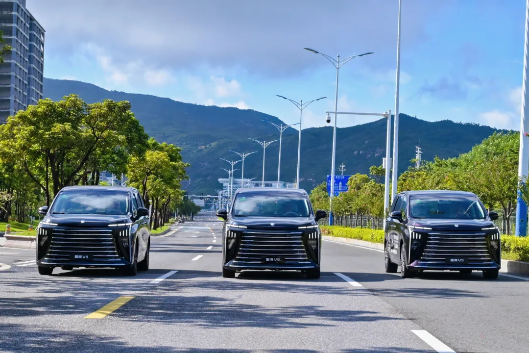 1763693801301601.jpg 3.jpg