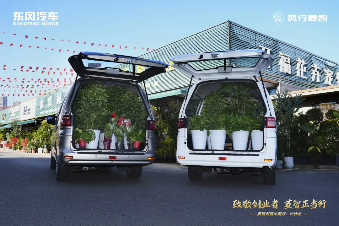 1765597422991865.jpg 2.jpg