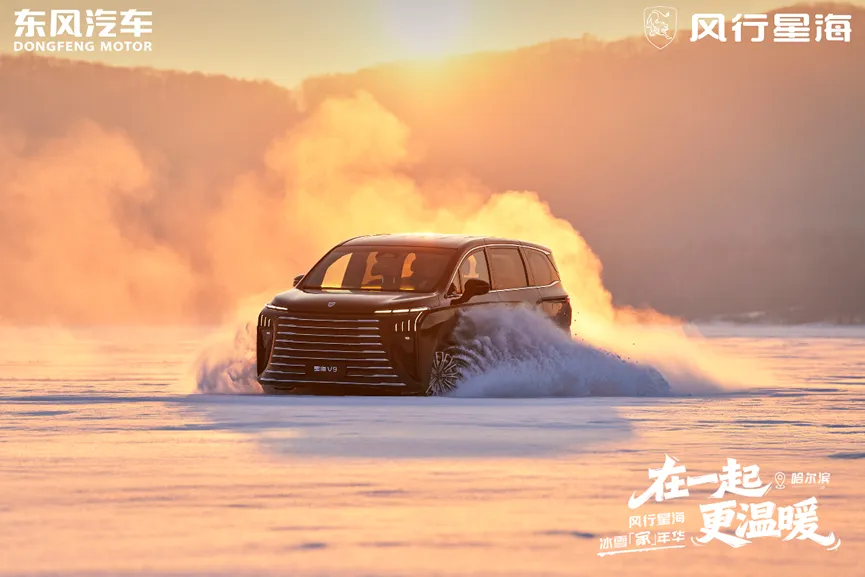 1769163972536021.jpg 6.jpg