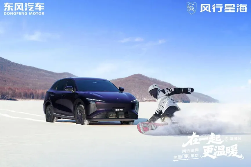 1769163996533271.jpg 9.jpg