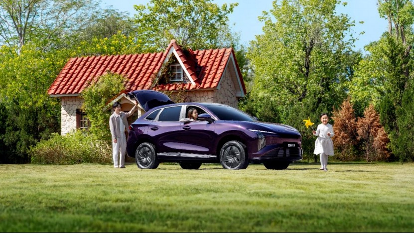 1773106713667271.jpg 10.jpg