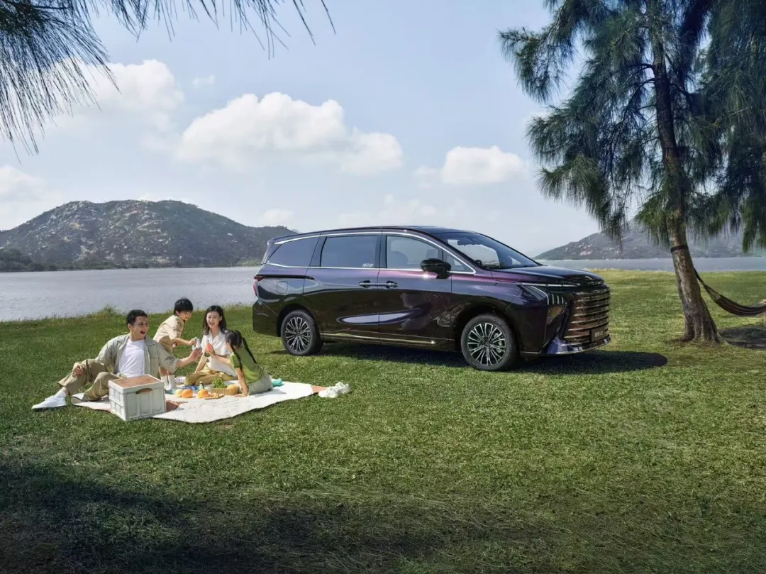 1775673876197288.jpg 8.jpg